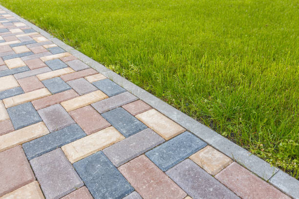 Best Driveway Paving Contractor  in Archer Lodge, NC